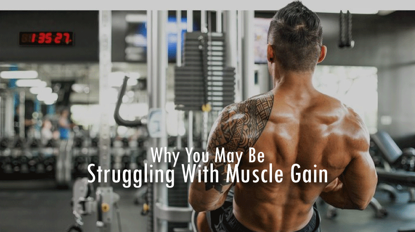 Why-You-May-Be-Struggling-With-Muscle-Gain