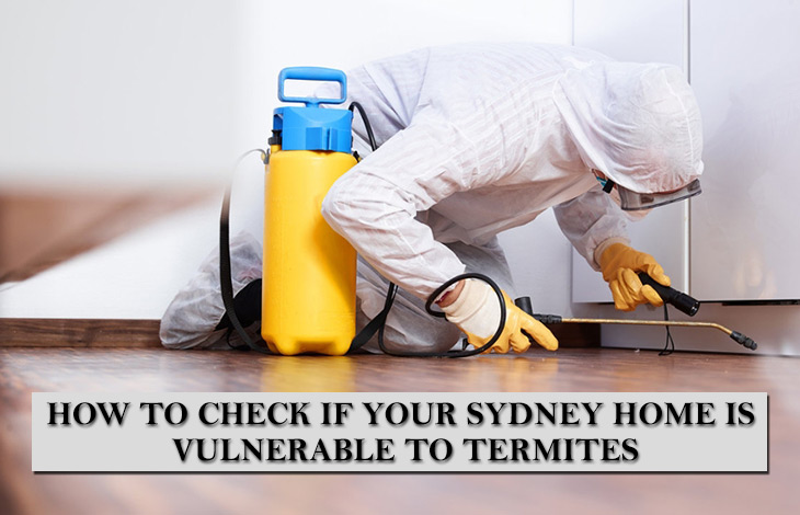 termite treatment Sydney