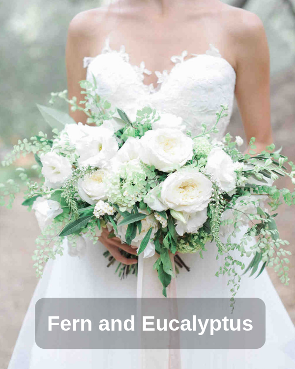 Fern and Eucalyptus